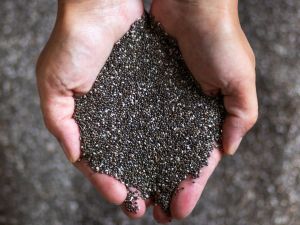 300 chia